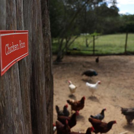 Blackwattle Farm Beerwah Zewnętrze zdjęcie