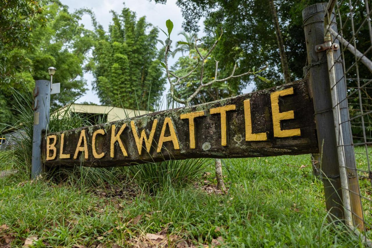 Blackwattle Farm Beerwah Zewnętrze zdjęcie