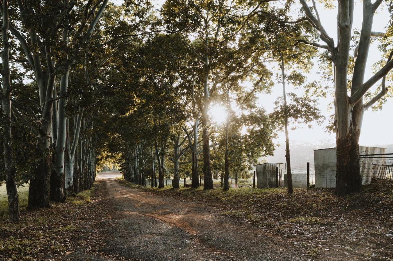 Blackwattle Farm Beerwah Zewnętrze zdjęcie