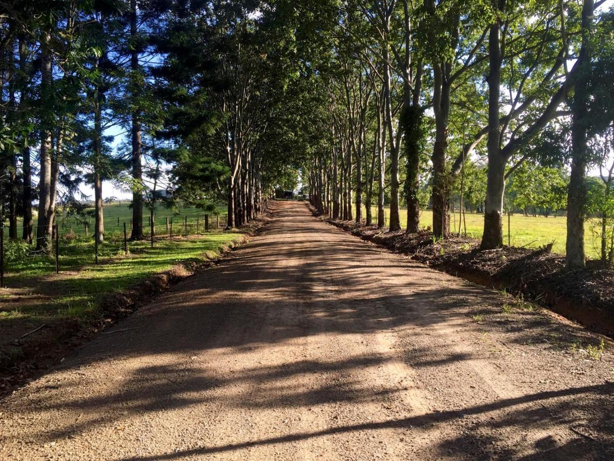 Blackwattle Farm Beerwah Pokój zdjęcie