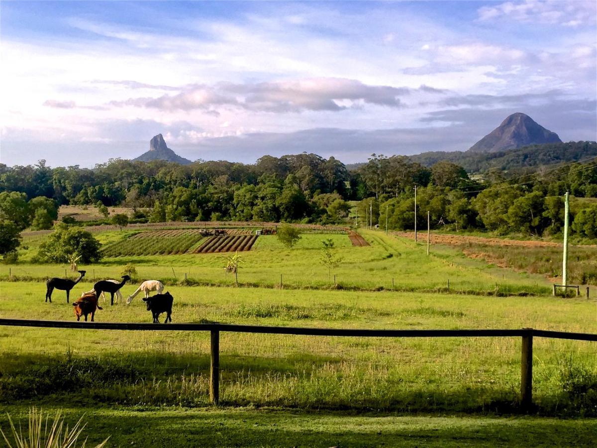 Blackwattle Farm Beerwah Pokój zdjęcie