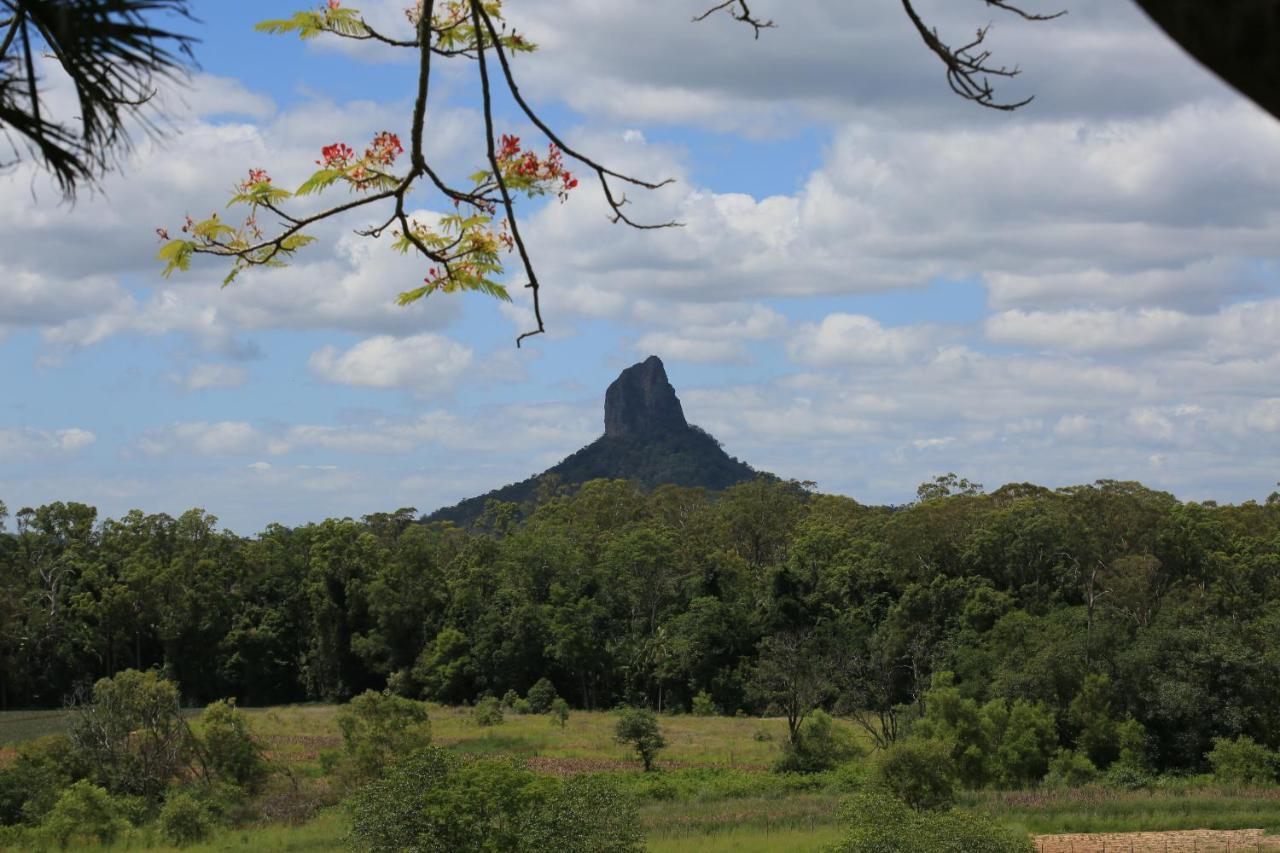Blackwattle Farm Beerwah Pokój zdjęcie