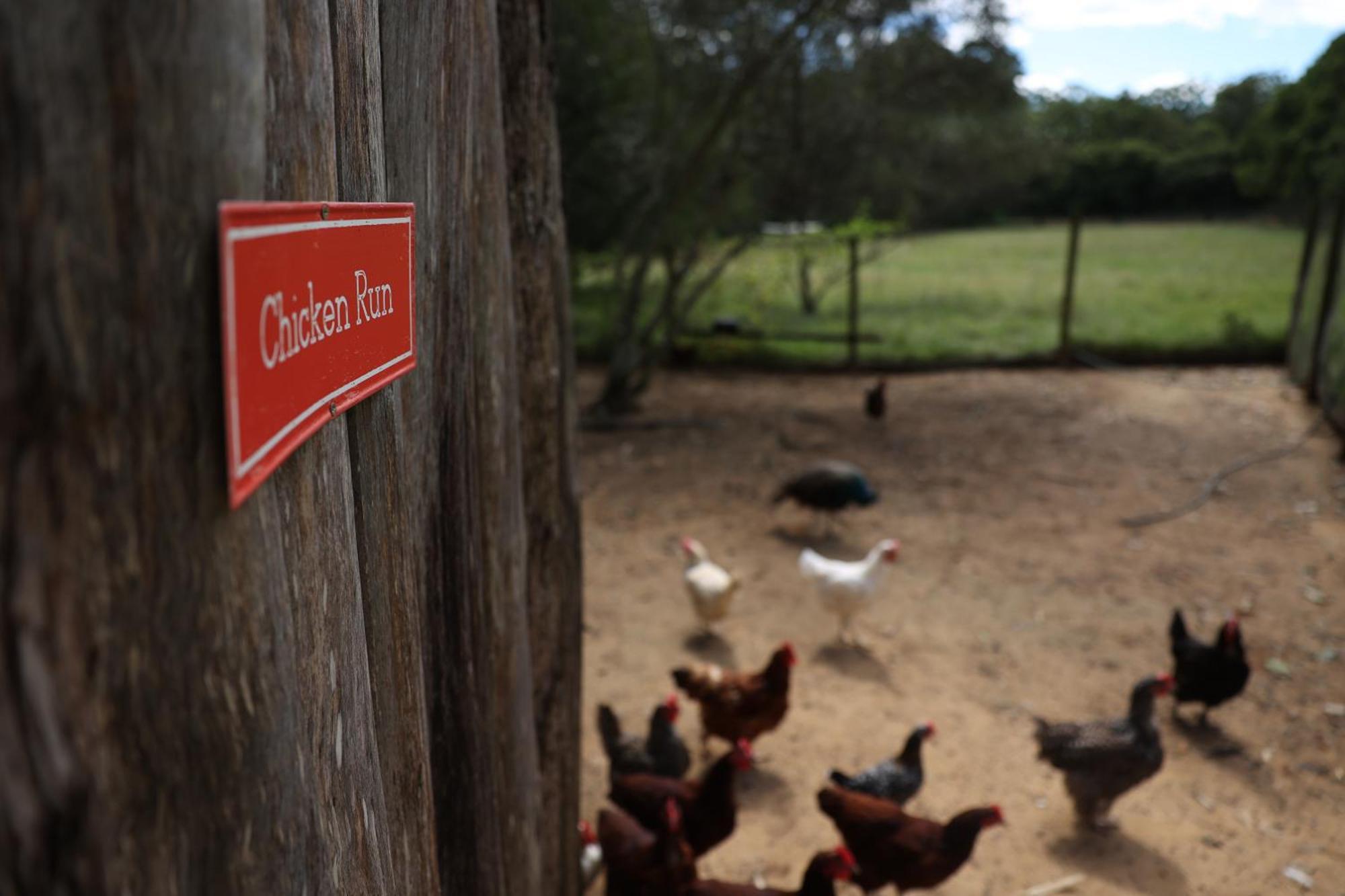 Blackwattle Farm Beerwah Zewnętrze zdjęcie