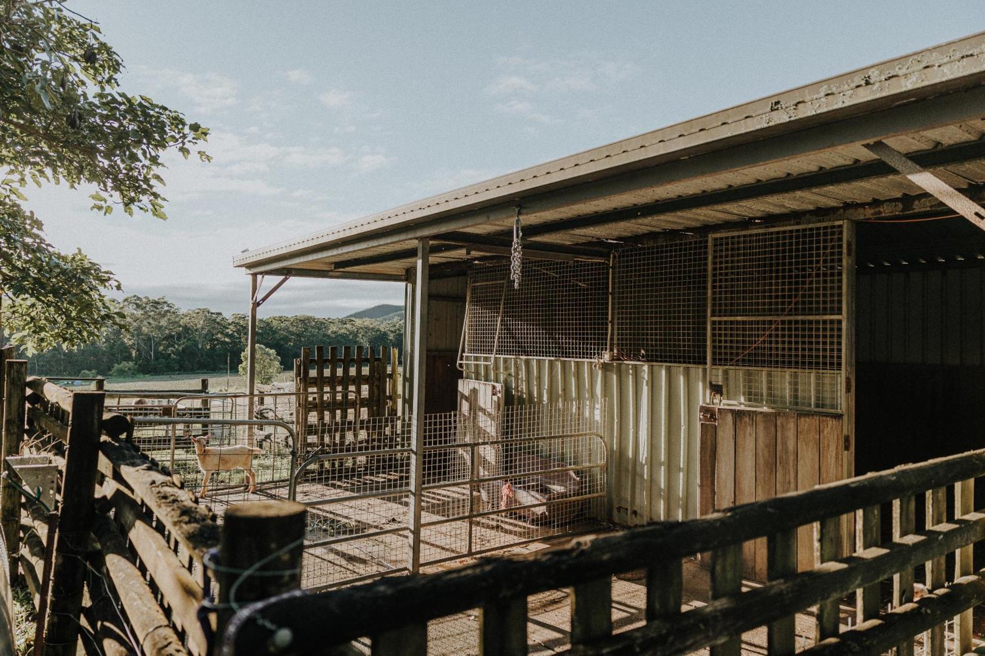 Blackwattle Farm Beerwah Zewnętrze zdjęcie