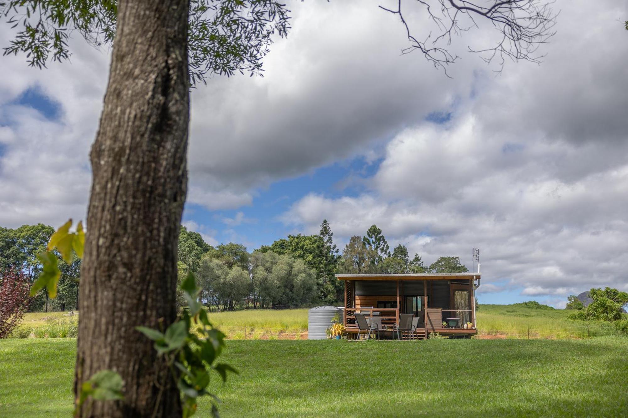 Blackwattle Farm Beerwah Pokój zdjęcie