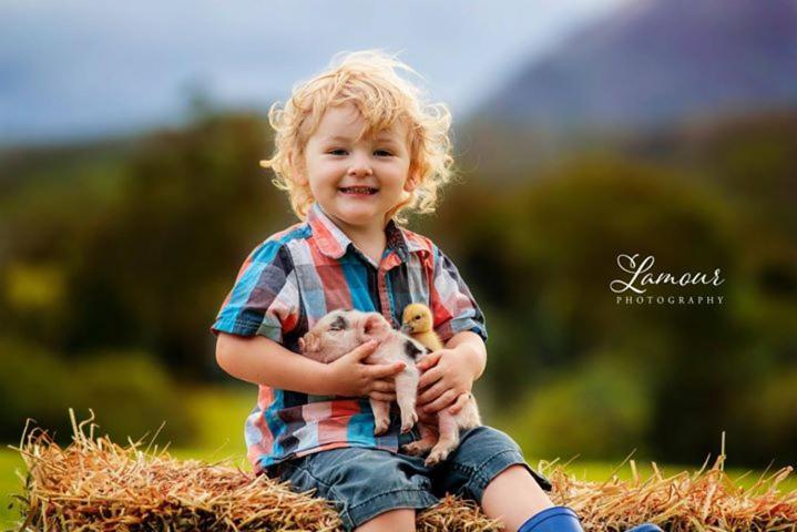 Blackwattle Farm Beerwah Zewnętrze zdjęcie